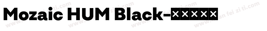Mozaic HUM Black字体转换